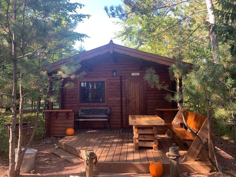 Honeybear Hideaway Cabin Hayward Eksteriør bilde