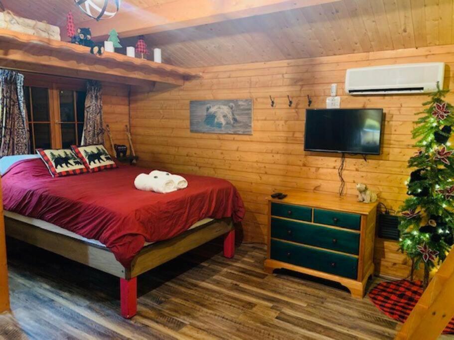 Honeybear Hideaway Cabin Hayward Eksteriør bilde