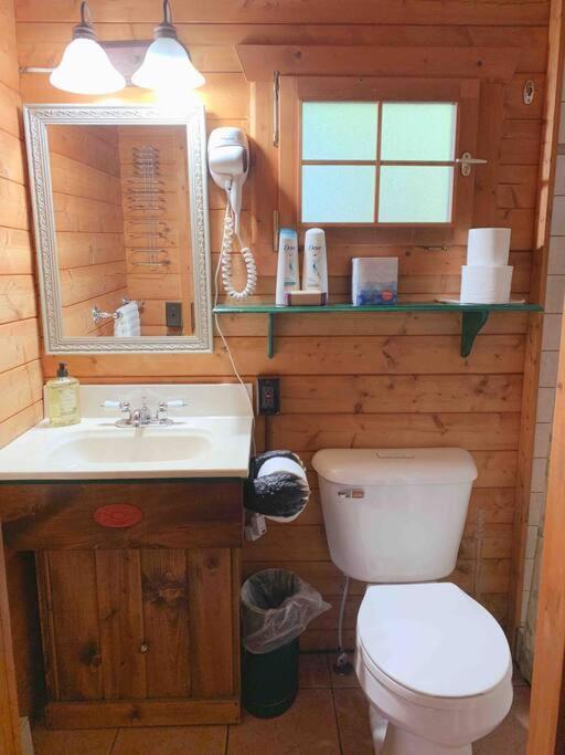 Honeybear Hideaway Cabin Hayward Eksteriør bilde