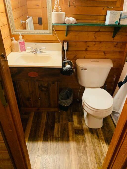 Honeybear Hideaway Cabin Hayward Eksteriør bilde